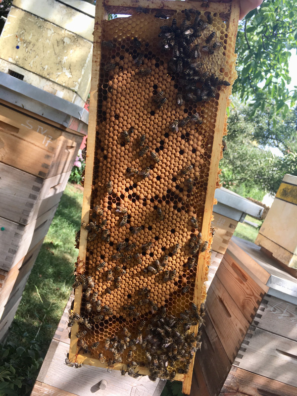 95DA6FD4-25EB-4759-BA46-D117DD8A796F