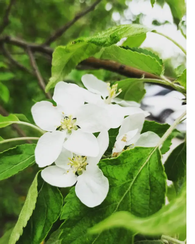 IMG_20230427_115644_272