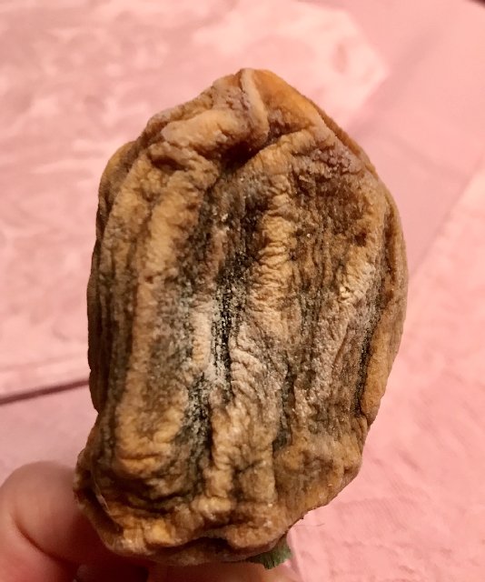 [Image: 82-F7003-C-DB53-435-A-BE1-C-2-C252-B5-E666-E.jpg]