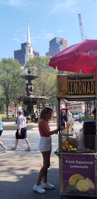 Pateamos Boston: Freedom Trail, Cheers, Mercadillos etc - Boston y Chicago (20)