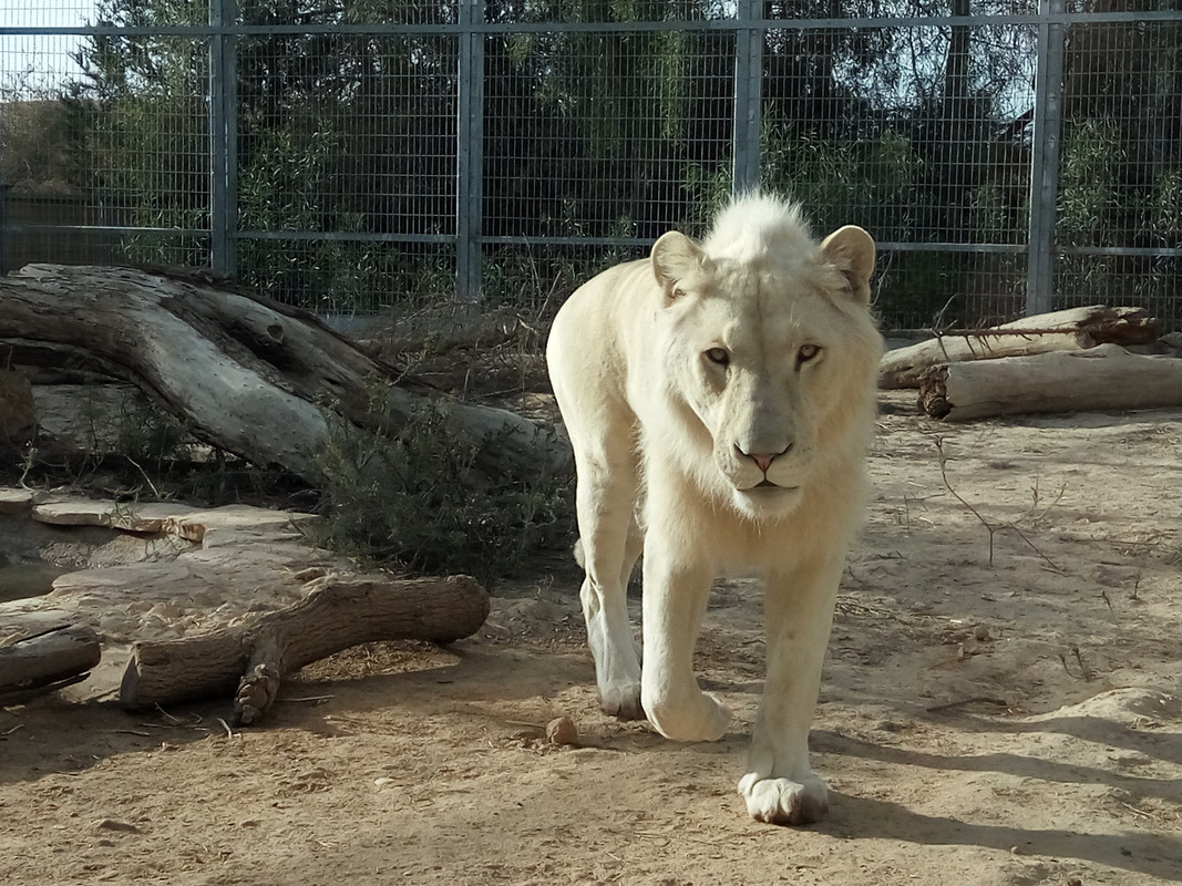 IMG_2020-01-01_143241