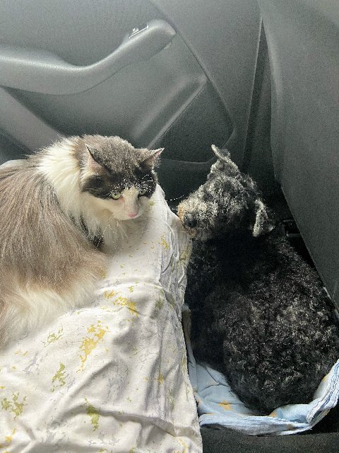 652-C4-DA2-91-E9-43-EC-BE4-B-B22-EE706-B