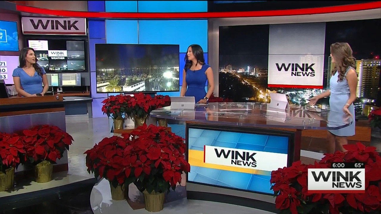 11.28 - 11.00.00 - WINK News This Morning..ts_snapshot_01.23.284
