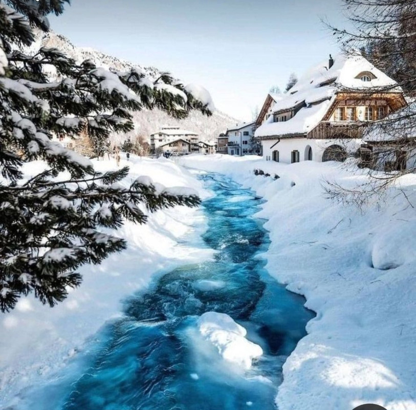 Screenshot_20231118_231556_Pinterest