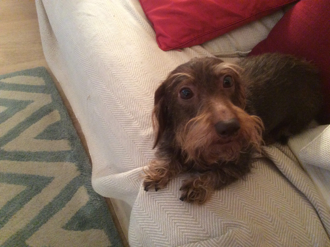 [Image: 1-D79-ECC2-5-E61-4247-AE18-1253-F10-D4-FD8.jpg]