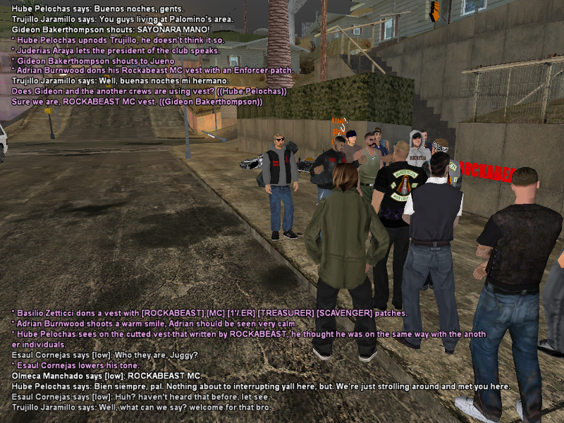 SSRoleplay313.png