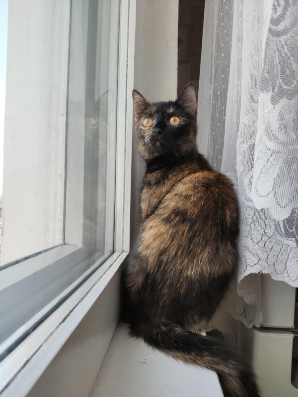 F0D05344-85C3-4850-9B84-E77A67EC39D6