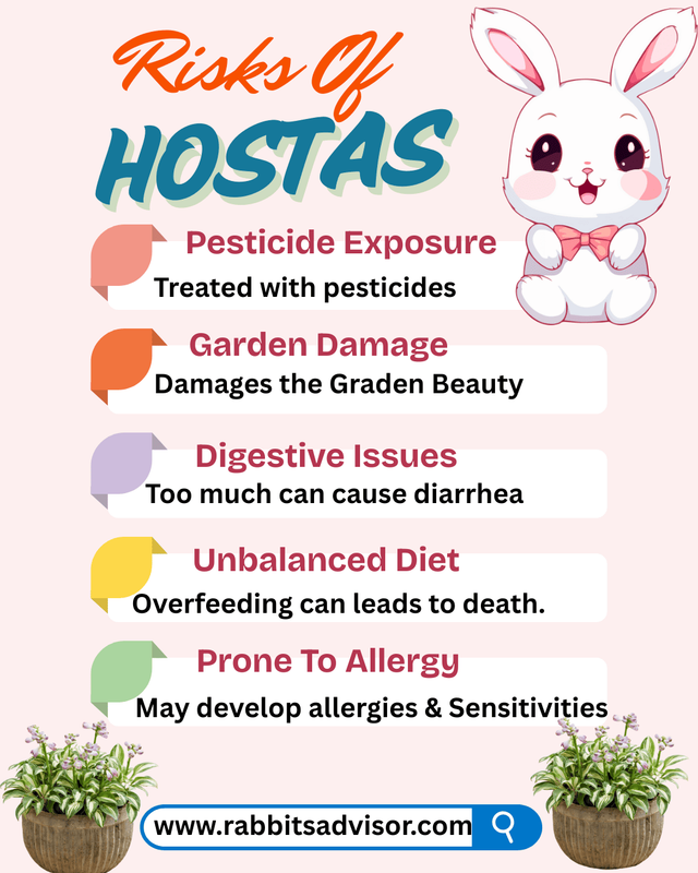 Health Concern of Hostas to Rabbits