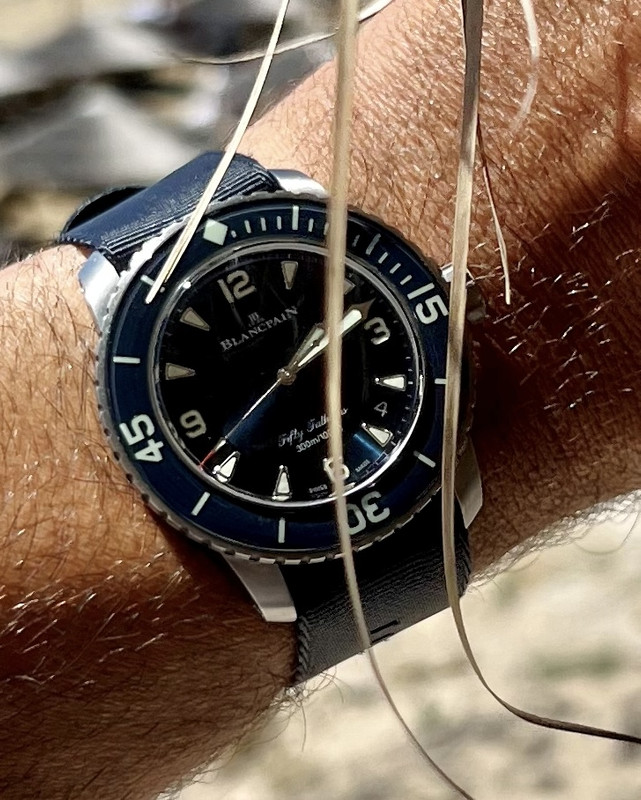 88B1E2B2-1D0D-4EE1-8AD7-A83FB71AC2F3