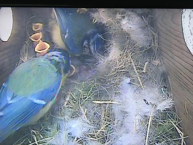 05CA2A8B-91BC-43E6-B7DF-D99CCEAD7D5C