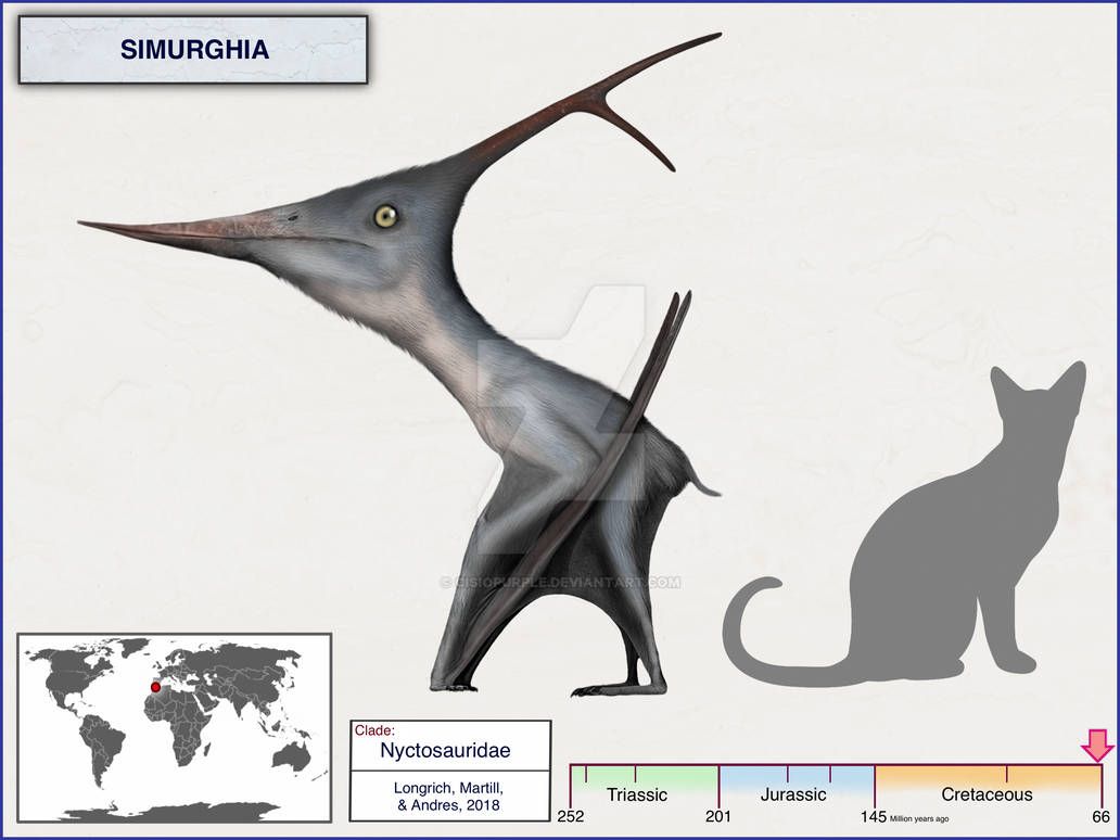 9bbc1ebd1232bf083fb5c93f83d461f7