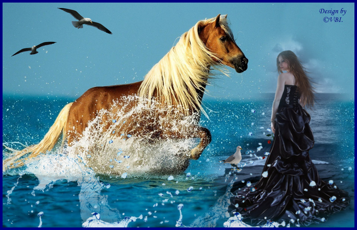 Horse