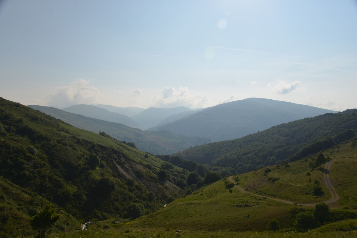 DSC-9430.jpg