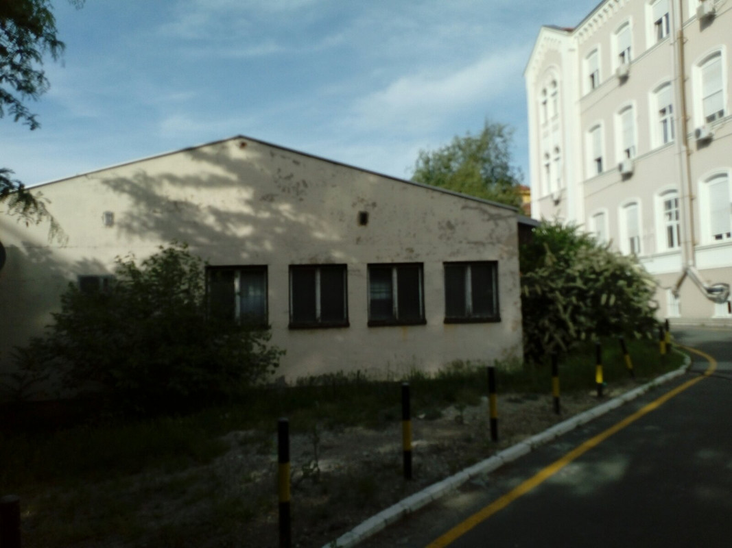 Slika