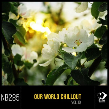 VA - Our World Chillout Vol 10 (2022)