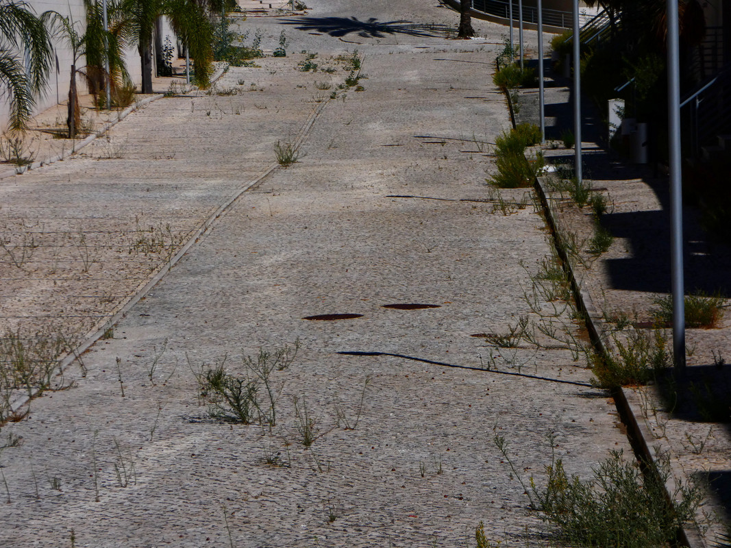 Oceanville-051025 (2)