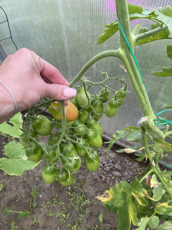 0ED12330-2A7C-4309-818D-ED6470E7E510