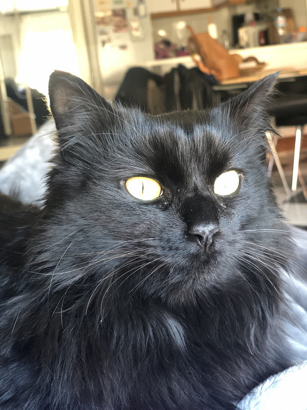 3C673522-8677-4894-B243-5FFCB4235D13