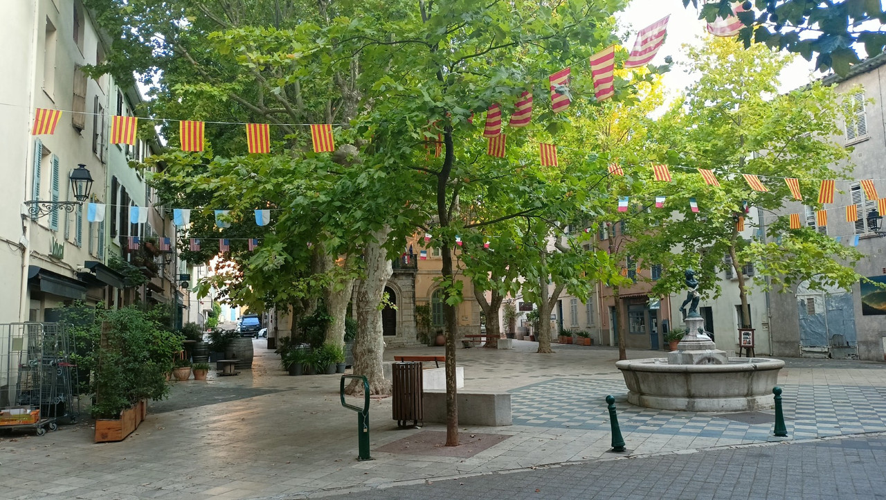 IMG20250806195547 (Large)