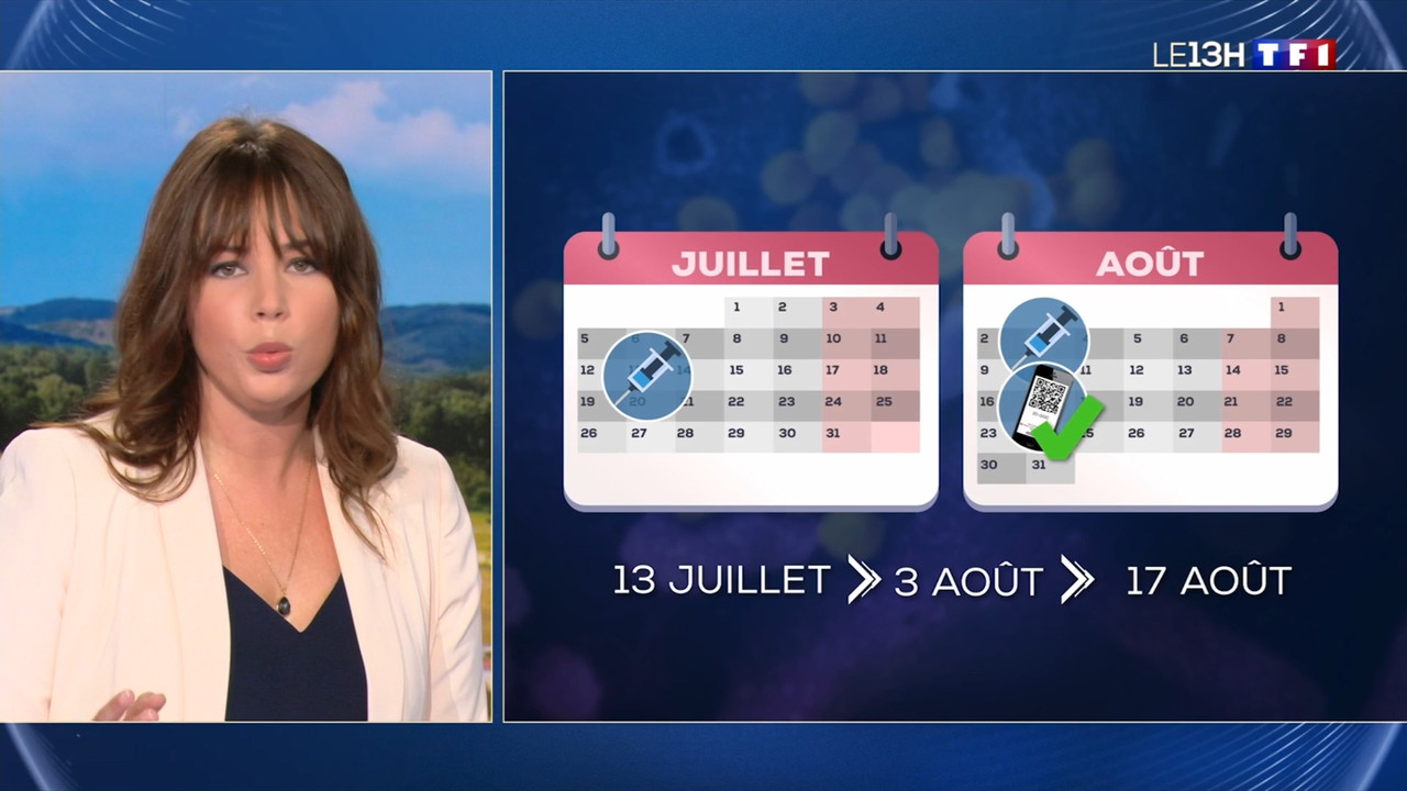 2021-07-13_13_00_TF1_Le-13h.mp4_snapshot_00.09.51.791