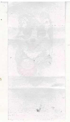 Scan 003