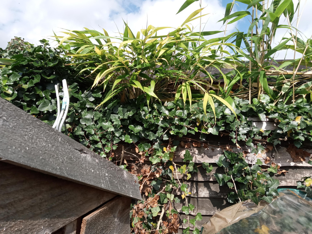 IMG_20200702_160005 (1)