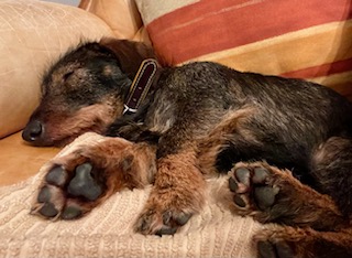 [Image: IMG-20240228-204815.jpg]