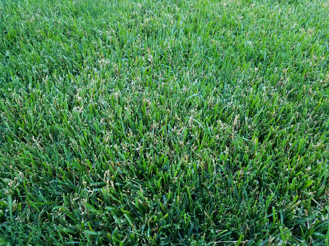 JPEG_20180609_201450