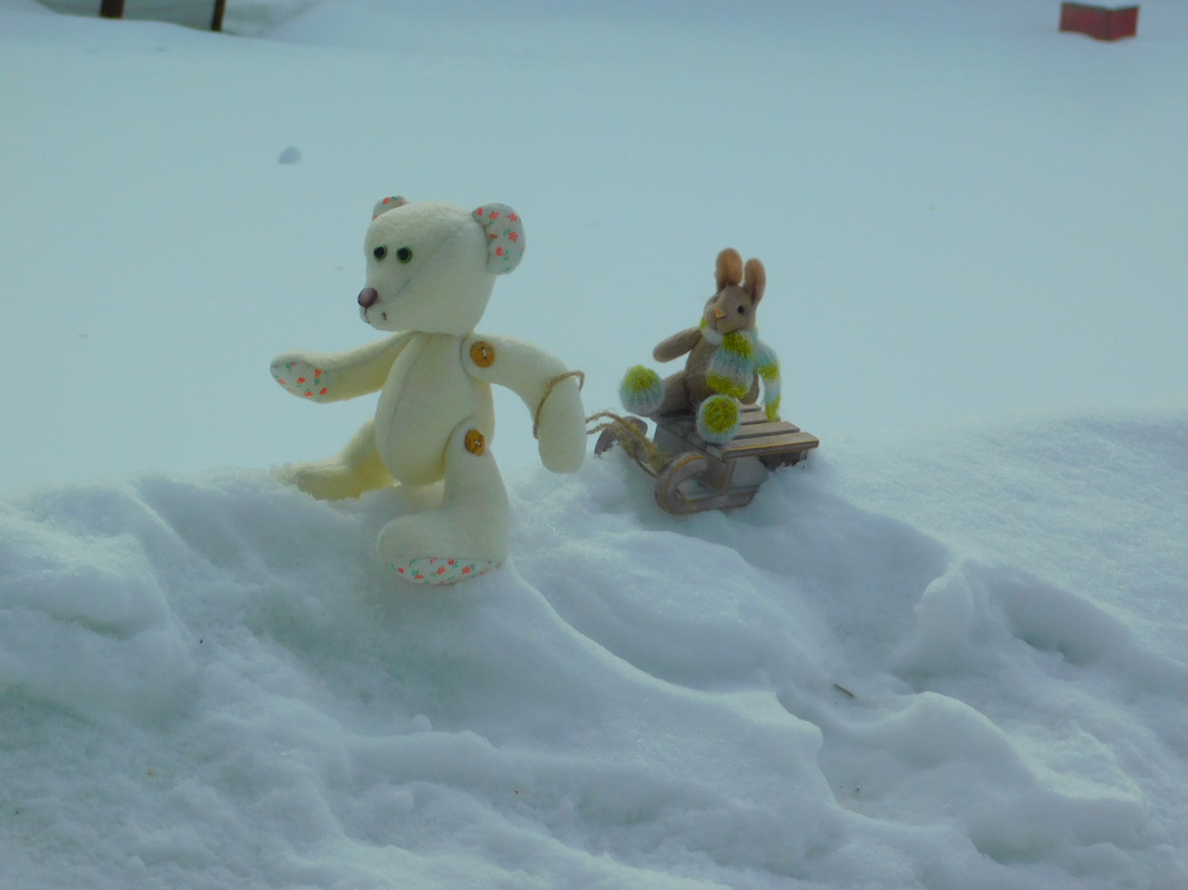 Февральское Коломенское 2023 013