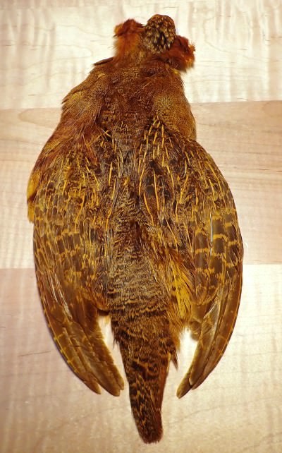 Golden Olive Partridge Skin