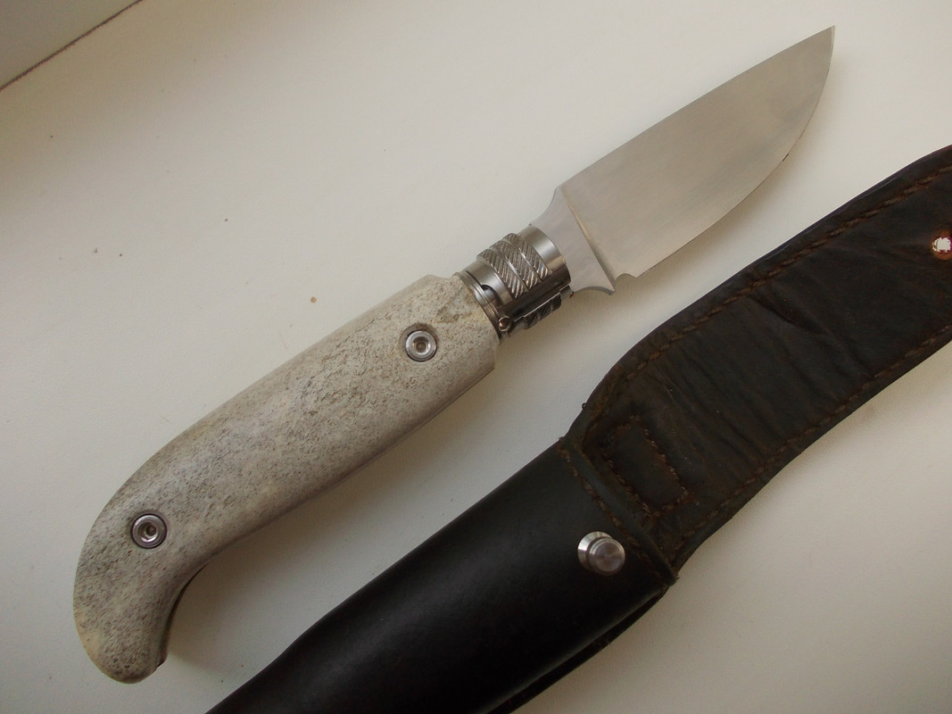https://i.postimg.cc/KzrZpQzS/DSCN3681.jpg