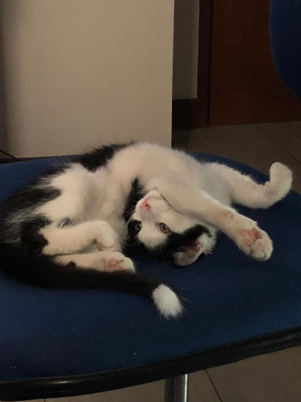 31F60752-755F-4E78-A231-9B8F05BDCBEB