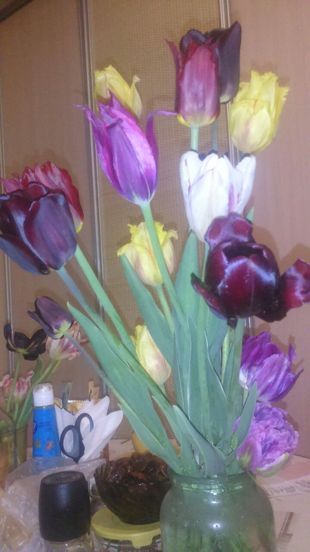 IMG_20190609_205823_489