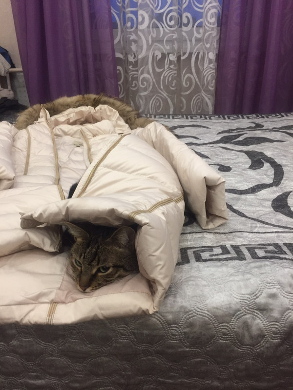 изображение_viber_2019-12-05_17-23-46