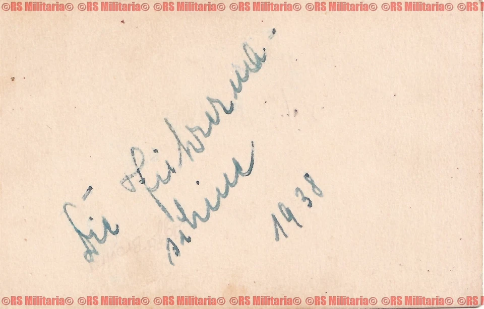 Stuka Flugzeug Ju 87 A Sturzkampfgeschwader 168 I.-168 Graz-Thalerhof (1)