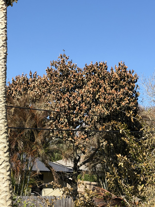 IMG 0140