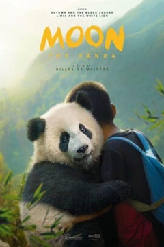 Moon the Panda 2025 DUBBED 1080p BluRay DDP5.1 x264-TFPDL