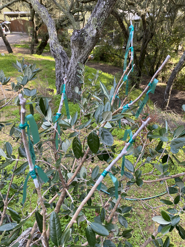 CA7FE6AA-92D6-4E6E-BF35-3E91C97D6205