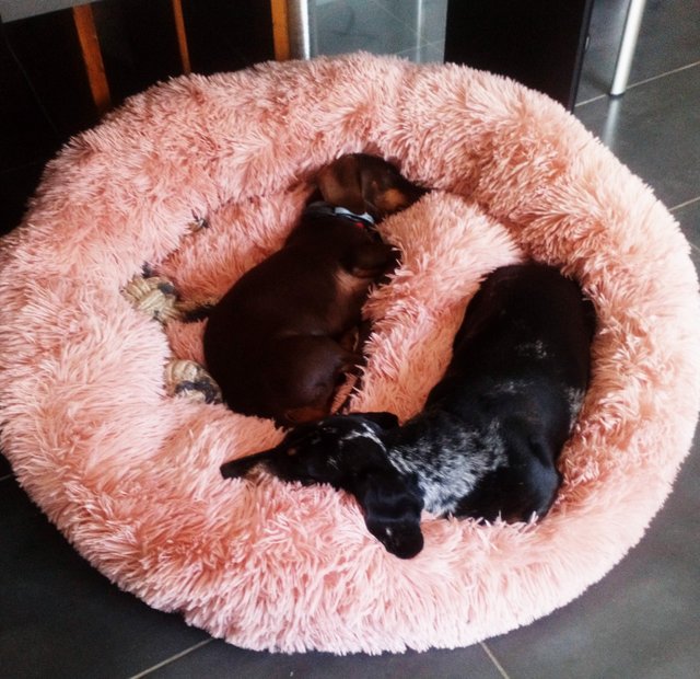 [Image: 20210527-133210.jpg]