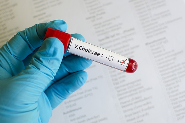 OMS alerta sobre aumentos de casos positivos del Cólera