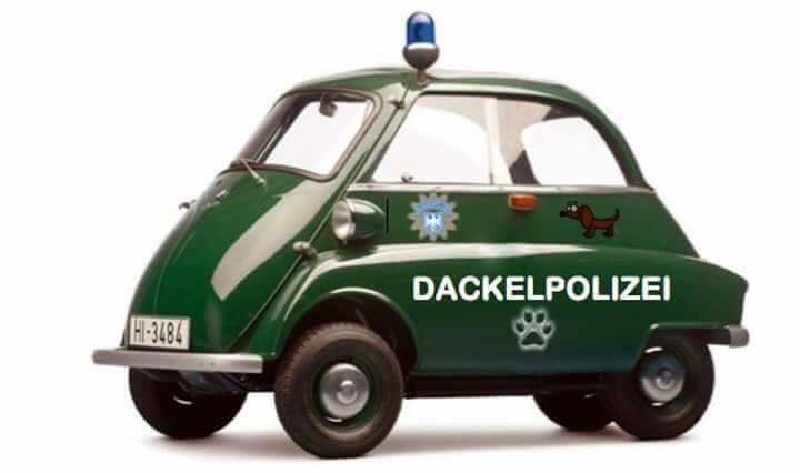 [Image: 20258232-222090511649451-6344904601545067552-n.jpg]