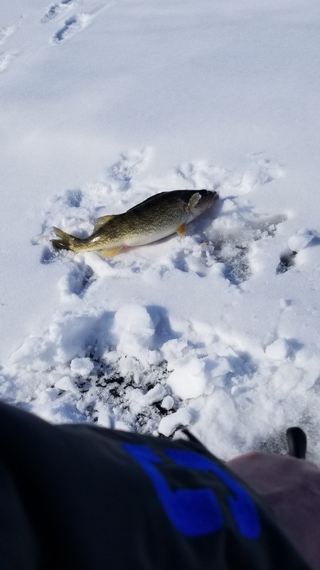 20190202_130331