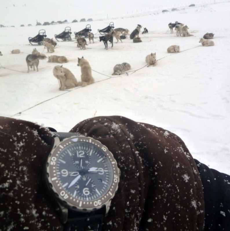 A00007D5-035B-458C-A19F-710F17F62394