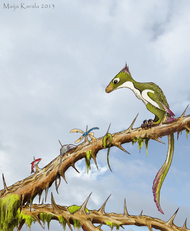 46e8f37c6b04602082b6553176900d6d