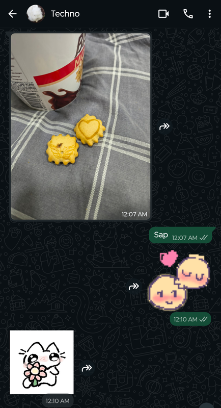 Screenshot of a whatsapp conversation between Techno and Phil Techno sends a picture of two of the cookies, one with a wings drawing and another with a drawing of a heart Phil: Sap  Phil sends a sticker of a blushing emoji face giving another a kiss in the head  Techno sends a sticker of a doodle of a cat offering a flower. 