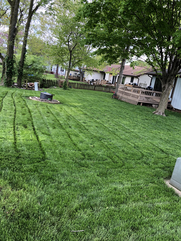 FB49A190-8790-41DA-82B3-DBEDC5F4F2E6