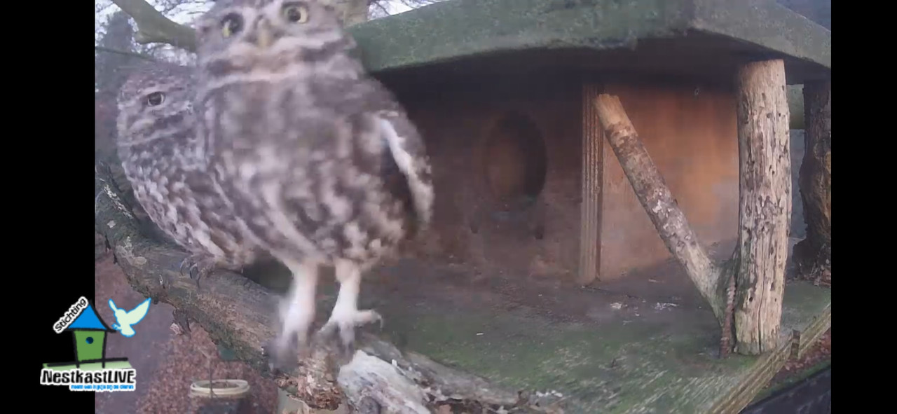 Screenshot 20251213 170559 org mozilla firefox