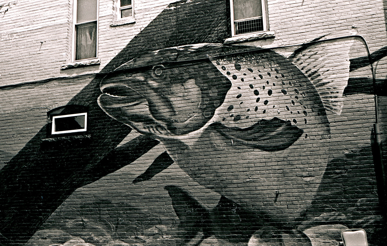 leica iiif july 24 5 edit