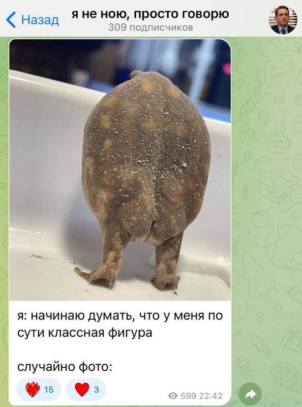 [Изображение: photo-2026-02-10-06-42-37.jpg]