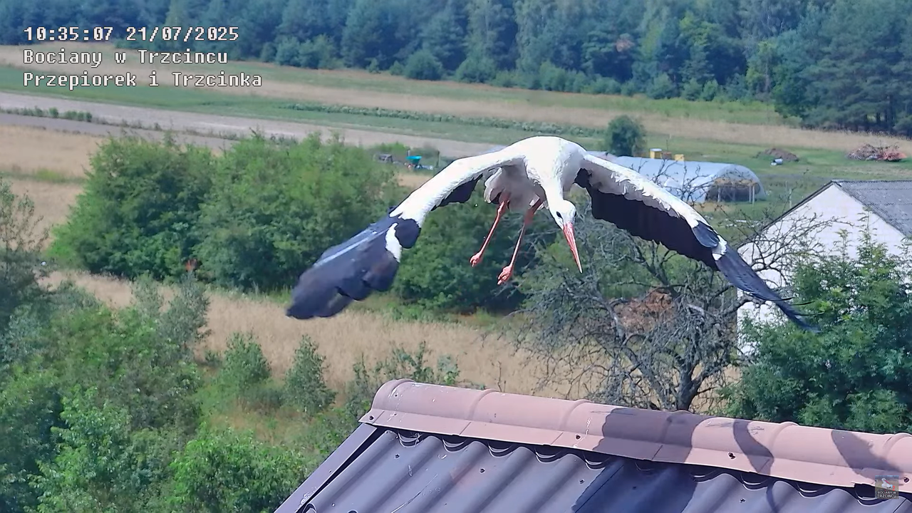 21072025bociany37